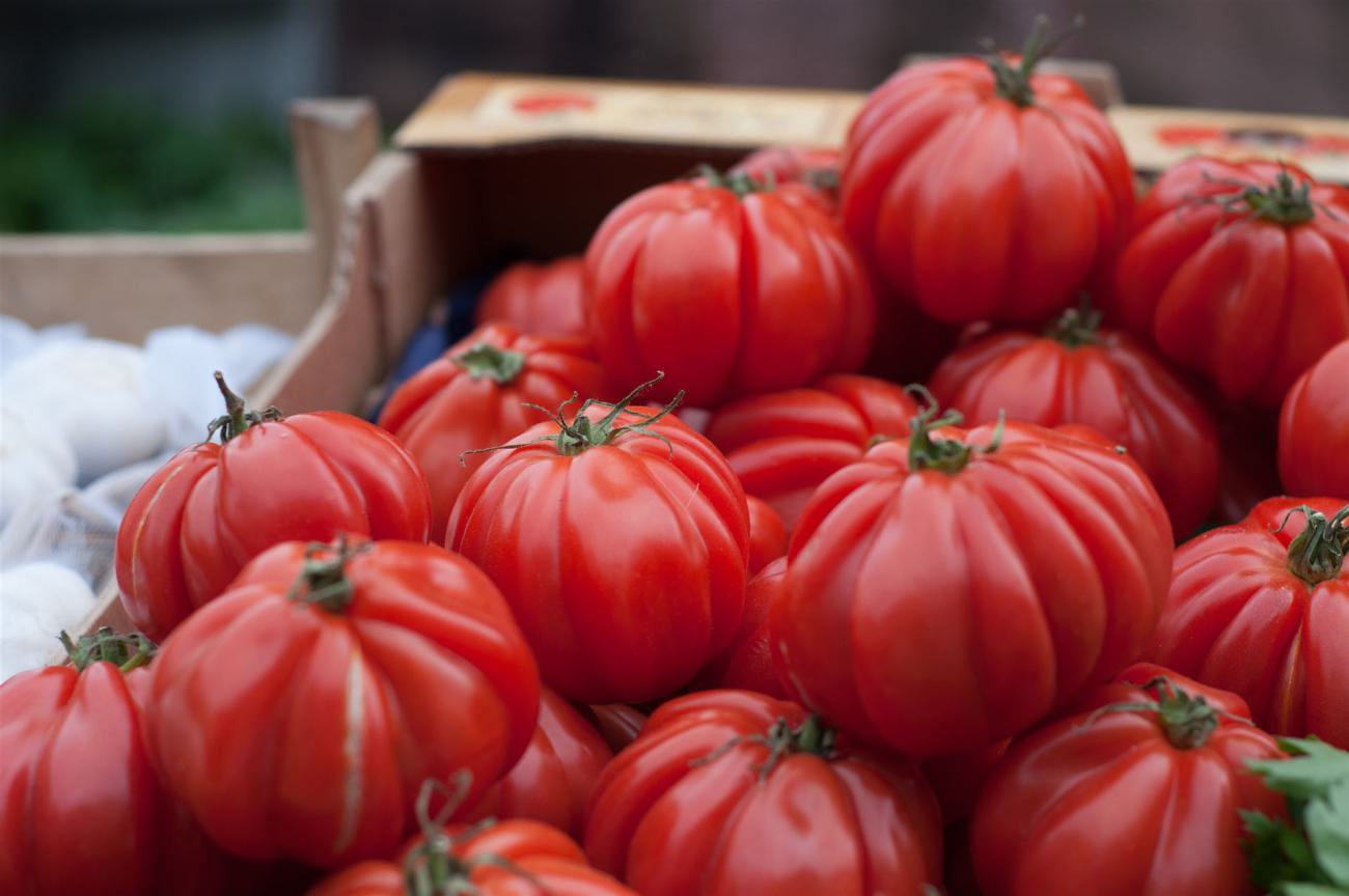 Bündel Rote Tomaten