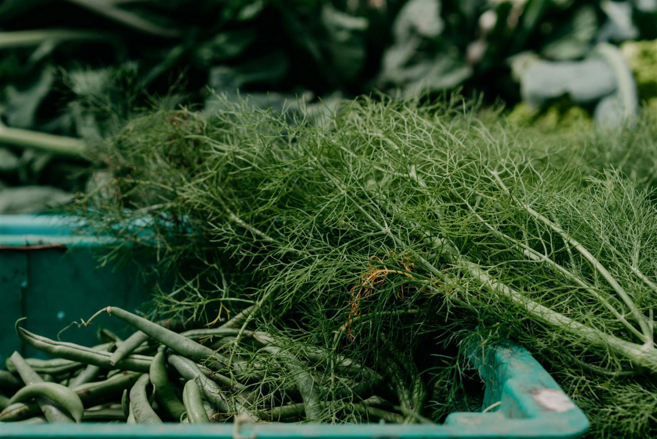 Kostenloses Stock Foto zu bauernmarkt, dill, erbsen schnappen